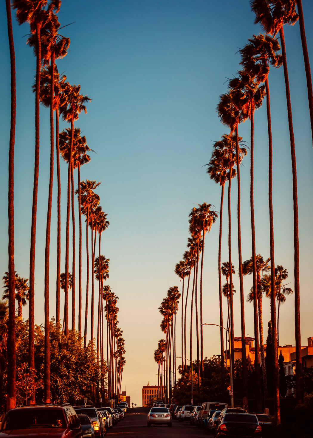 Los Angeles streets